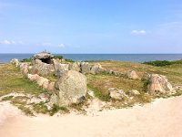 D, Schleswig-Holstein, Sylt, Harhoog 1, Saxifraga-Bart Vastenhouw