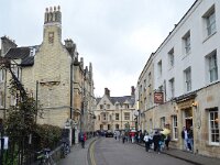 UK, Cambridgeshire, Cambridge 3, Saxifraga-Tom Heijnen