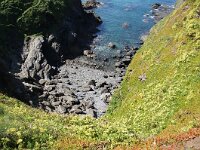 GB, Cornwall, Helston, SW Coastpath, Lizard 2, Saxifraga-Foto Fitis-Sytske Dijksen