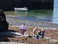 GB, Cornwall, Landewednack, Church Cove 3, Saxifraga-Foto Fitis- Sytske Dijksen