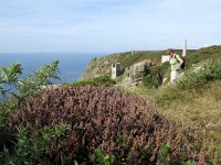 GB, Cornwall, Marazion, SW Coastpath, Michaels Mount 3, Saxifraga-Foto Fitis-Sytske Dijksen