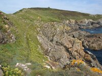 GB, Cornwall, Marazion, SW Coastpath, Michaels Mount 8, Saxifraga-Foto Fitis-Sytske Dijksen