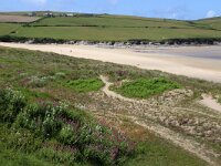 GB, Cornwall, Padstow 14, Saxifraga-Foto Fitis- Sytske Dijksen