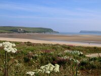 GB, Cornwall, Padstow 16, Saxifraga-Foto Fitis- Sytske Dijksen