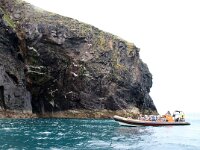 GB, Cornwall, Padstow 2, Saxifraga-Foto Fitis-Sytske Dijksen