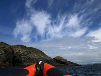 GB, Cornwall, Padstow 3, Saxifraga-Foto Fitis-Sytske Dijksen