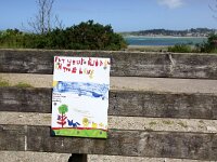 GB, Cornwall, Padstow 7, Saxifraga-Foto Fitis-Sytske Dijksen