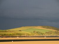 GB, Cornwall, Padstow, Doom Bar 3, Saxifraga-Foto Fitis- Sytske Dijksen