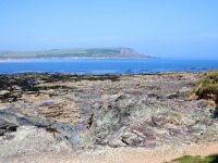 GB, Cornwall, Padstow, SW Coastpath, Doyden Point 6, Saxifraga-Foto Fitis-Sytske Dijksen