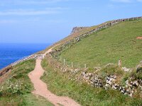 GB, Cornwall, Padstow, SW Coastpath, Doyden Point 8, Saxifraga-Foto Fitis-Sytske Dijksen