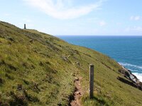 GB, Cornwall, Padstow, SW Coastpath, Stepper Point 1, Saxifraga-Foto Fitis-Sytske Dijksen