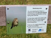 GB, Cornwall, Padstow, Trevose Head 5, Saxifraga-Foto Fitis-Sytske Dijksen
