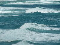 GB, Cornwall, Penwith, Sennen Coast 1, Saxifraga-Foto Fitis- Sytske Dijksen