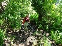 GB, Cornwall, Penzance, SW Coastpath, Lamorna-Porthcurno 1, Saxifraga-Foto Fitis-Sytske Dijksen