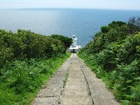 GB, Cornwall, Penzance, SW Coastpath, Lamorna-Porthcurno 5, Saxifraga-Foto Fitis-Sytske Dijksen