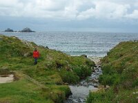 GB, Cornwall, Penzance, SW Coastpath, Sennen Cove-Pendeen 2, Saxifraga-Foto Fitis-Sytske Dijksen