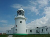 GB, Cornwall, Penzance, Sennen Cove 1, Saxifraga-Foto Fitis-Sytske Dijksen