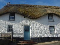 GB, Cornwall, Penzance, Sennen Cove 8, Saxifraga-Foto Fitis-Sytske Dijksen