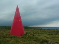 GB, Cornwall, Penzance, Sennen Cove, Porthgwarra landmark 1, Saxifraga-Foto Fitis-Sytske Dijksen