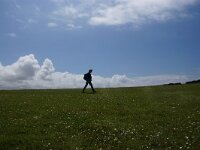 GB, Cornwall, Portreath, Godrevy Point 1, Saxifraga-Foto Fitis-Sytske Dijksen