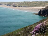 GB, Cornwall, Perranporth, SW Coastpath, Trevaunance Cave 3, Saxifraga-Foto Fitis-Sytske Dijksen