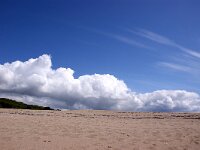 GB, Cornwall, Sithney, Looe 5, Saxifraga-Foto Fitis- Sytske Dijksen