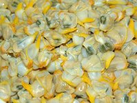 GB, Cornwall, St Ives 13, Boiled Cerastoderma edule, Saxifraga-Foto Fitis-Sytske Dijksen