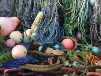 GB, Cornwall, St Ives 14, lobster, Saxifraga-Foto Fitis-Sytske Dijksen