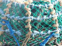 GB, Cornwall, St Ives 15, lobster, Saxifraga-Foto Fitis-Sytske Dijksen