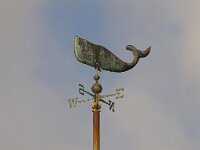 GB, Cornwall, St Ives 19, Saxifraga-Foto Fitis-Sytske Dijksen