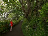 GB, Cornwall, St Ives, SW Coastpath 4, Saxifraga-Foto Fitis-Sytske Dijksen