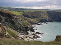 GB, Cornwall, Tintagel, SW Coastpath 4, Saxifraga-Foto Fitis-Sytske Dijksen
