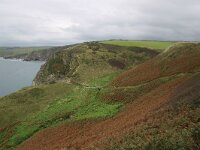 GB, Cornwall, Tintagel, SW Coastpath 7, Saxifraga-Foto Fitis-Sytske Dijksen