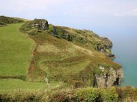 GB, Cornwall, Tintagel, SW Coastpath, Boscastle 2, Saxifraga-Foto Fitis-Sytske Dijksen