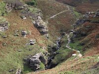 GB, Cornwall, Tintagel, SW Coastpath, Rocky Valley 4, Saxifraga-Foto Fitis-Sytske Dijksen