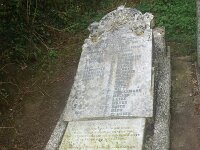 GB, Cornwall, Veryan 3, Saxifraga-Foto Fitis-Sytske Dijksen