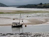 GB, Cornwall, Wadebridge, Camel Trail 2, Saxifraga-Foto Fitis-Sytske Dijksen