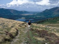GB, Cumbria, Keswick, Bleaberry Fell 1, Saxifraga-Jan van der Straaten