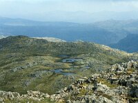 GB, Cumbria, Keswick, Glaramara 2, Saxifraga-Jan van der Straaten