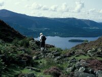 GB, Cumbria, Keswick, High Seat 6, Saxifraga-Jan van der Straaten