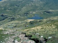 GB, Cumbria, Keswick, High Spy 9, Saxifraga-Jan van der Straaten