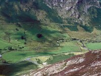 GB, Cumbria, Keswick, Maiden Moor 6, Saxifraga-Jan van der Straaten