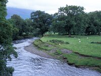 GB, Cumbria, Keswick, River Greta 1, Saxifraga-Jan van der Straaten