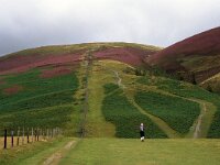 GB, Cumbria, Keswick, Skiddaw 2, Saxifraga-Jan van der Straaten