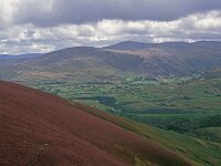 GB, Cumbria, Keswick, Skiddaw 5, Saxifraga-Jan van der Straaten