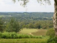 EUk, East Sussex, Wealden, Ashdown Forest 4, Saxifraga-Tom Heijnen
