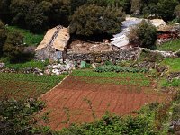 GR, Corfu, Strinilas 3, Saxifraga-Hans Dekker