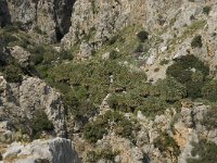 GR, Crete, Rethimnon, Limni, Helidomon Gorge 1, Saxifraga-Willem van Kruijsbergen