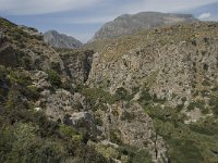 GR, Crete, Rethimnon, Limni, Helidomon Gorge 2, Saxifraga-Willem van Kruijsbergen