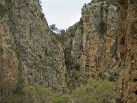 GR, Crete, Rethimnon, Patsos, Antonio Gorge 5, Saxifraga-Willem van Kruijsbergen